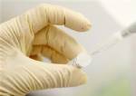 EU chemicals law "spells surge in animal testing"