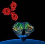 Study finds potential way to make an AIDS vaccine