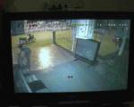 ขโมยลำปางลักแม้กระถางต้นไม่-เจ้าของ บ.ทัวร์สุดทนติด CCTV จับภาพ