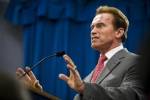 Britain asks Schwarzenegger to close prostitute web site