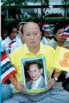15 พฤศจิกายน 2552 วันรวมพลังแผ่นดิน !