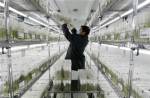 Genetic tests help track food web, climate change