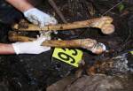 Gang accused of killing to sell human fat
