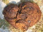 Cow dung to power more Dutch homes