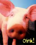 Thailand confirms first case of human-to-pig swine flu