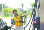 ปตท.-บางจาก กัดฟันไม่ขึ้นราคาน้ำมัน หวังมอบเป็นของขวัญปีใหม่