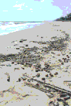 จี้สอบ “นิวคอสตอล”สร้างมลพิษในทะเล หลังพบกากน้ำมันเกลื่อนชายหาดสทิงพระ