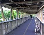 หนุ่มอีสานประชดรักโดดสะพานลอยกระอัก!