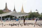 ชาวบ้านเตรียมเคลื่อนต้านกทม.นำนกพิราบปล่อยที่ปราจีนบุรี