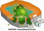 Five-meter alligator kills girl in Brazil: reports