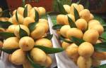 ชวนเที่ยวงาน “มะยงชิด มะปรางหวาน” ของดีนครนายก