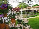 นครปฐมชวนเที่ยวงาน พระราชวังสวยกล้วยไม้งาม