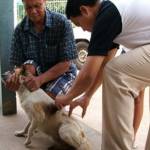 กทม.พร้อมฉีดวัคซีน “พิษสุนัขบ้า” ฟรีทั่วกรุง 2 เม.ย.นี้ หวังลดยอดคนตาย