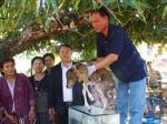 ชาวธาตุพนมตื่น! ลูกวัวประหลาดมี 2 หัวลำตัวเดียวกัน เจ้าของเตรียมดองบูชา