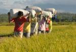 Asia frets over food price hikes
