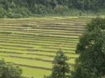 วธ.หนุน “ไร่หมุนเวียน” เป็นมรดกความทรงจำแห่งโลก