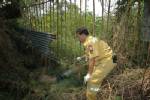 “หนุ่ม RBAC” โดนไฟดูดตาย เพราะปีนขโมยใบกระท่อม