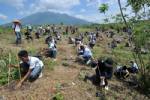 Tree-planting world record set in Philippines