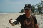 พบก้อนขี้น้ำมันเกลื่อนหาดสงขลาซ้ำ ไร้เงาเจ้าหน้าที่เข้าตรวจสอบ