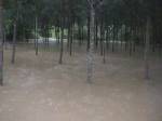 ฝนหลงฤดูทำน้ำท่วมตรังแล้ว 10 หมู่บ้าน