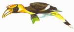 Malaysia to charge soldiers over Hornbill killing