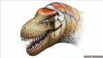 พบญาติทีเร็กซ์ “จูเฉิงไทแรนนัส”  ไดโนเสาร์นักล่าพันธุ์ใหม่