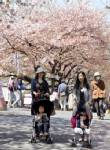 ธรณีพิโรธ-สึนามิทำนักท่องเที่ยวต่างชาติในญี่ปุ่นลดต่ำสุดตลอดกาล