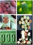ตร.ดึง ปชช.แนวร่วมป้องกันยาเสพติด