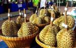 ททท. ชวนร่วมลิ้ม ชิมรสทุเรียนเมืองนนท์ ประจำปี 2554