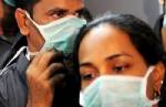 Scientists map evolution of pig flu virus