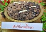 กรมแพทย์แผนไทยฯ เผย7คู่มือตำรับยา ชี้ "ตรีผลา" ฆ่ามะเร็งเต้านม