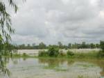 ฝนตกชาวนากาฬสินธุ์เร่งทำนาแม้เขื่อนลำปาวยังปิดซ่อม