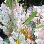สระแก้วจัดทอดผ้าป่าหาทุนซื้อครุภัณฑ์ทางการแพทย์