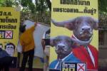 “ปานเทพ” แนะ “เพื่อฟ้าดิน” ร้องศาล กกต.สั่งปลดป้ายรูปสัตว์มิชอบ