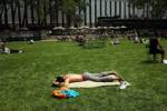 Say goodbye to cool summers: climate study