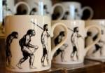Human evolution slower than thought, say scientists