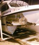 Two injured as whale hits boat in Australia