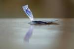 Erection-boosting condom gets EU backing