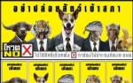 ปธ.กกต.กทม.ระบุป้ายโหวตโนต้องรอผู้ได้ร้บผลกระทบร้อง