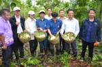 ผู้ว่าฯนำทีมออนทัวร์ป่าชุมชนขะเนจื้อเมืองตาก/ปลุกกระแสฟื้นผืนป่าทั้ง จว.