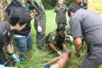 ตีหัวคนเก็บของเก่าดับ หมกพงหญ้าย่านอุดมสุข