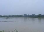 ฝนตกชุก ชาวนานครพนมอ่วมข้าวถูกน้ำท่วมกว่า 100 ไร่