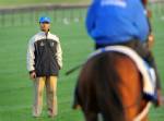 Malaysia bans Australia horses on virus fears: report