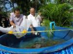 ผู้ว่าฯปราจีนฯปล่อยพันธุ์สัตว์น้ำ 5 แสนตัวลงสู่แหล่งน้ำ