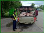 PRRSระบาดหลาย จว.เหนือ ทำหมูป่วย-ตาย ดันราคาพุ่ง