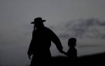 Long life is in the genes: study