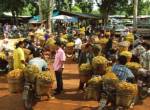 เกษตรกรเมืองลับแลวอน “ปู” ช่วย ฝนชุกลองกองผลผลิตลด-ค่าครองชีพพุ่ง