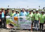 CPF ชวนคนไทย...ปลูกป่าชายเลน จ.เพชรบุรี