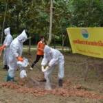 สระแก้วซ้อมแผนป้องกันการระบาดของไข้หวัดนก&amp;#8207;