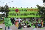 แฉ กฟผ.ปักธงตั้งโรงไฟฟ้าถ่านหินหัวไทรที่แรก พร้อมหว่านงบซื้อใจ อปท.-สื่อท้องถิ่นเปิดทางให้